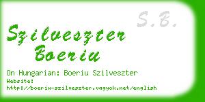 szilveszter boeriu business card